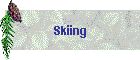 Skiing