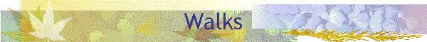 Walks