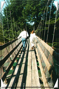 Swingbridge (32403 bytes)