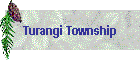 Turangi Township